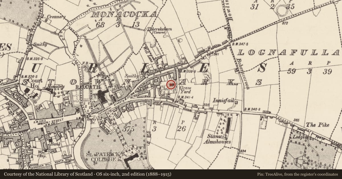 Ordnance Survey six-inch map, 2nd edition (1888–1915) covering the location of Memorial stone, Thurles Townparks, County Tipperary North, with a pin at the register's coordinates