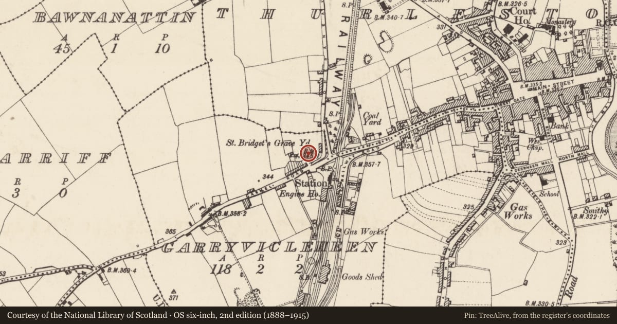 Ordnance Survey six-inch map, 2nd edition (1888–1915) covering the location of Graveyard, Garryvicleheen, County Tipperary North, with a pin at the register's coordinates