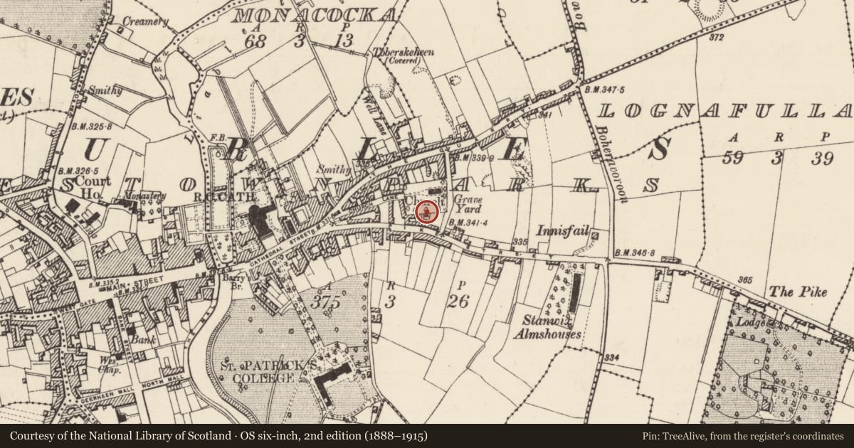 Ordnance Survey six-inch map, 2nd edition (1888–1915) covering the location of Graveyard, Thurles Townparks, County Tipperary North, with a pin at the register's coordinates