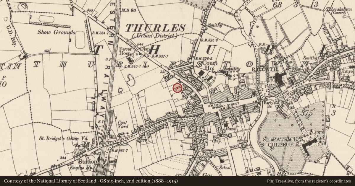 Ordnance Survey six-inch map, 2nd edition (1888–1915) covering the location of Stone sculpture (present location), Thurles Townparks, County Tipperary North, with a pin at the register's coordinates