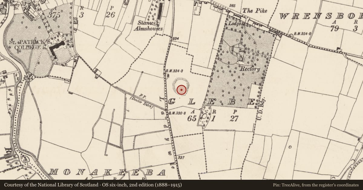Ordnance Survey six-inch map, 2nd edition (1888–1915) covering the location of Enclosure, Glebe (Thurles Par.), County Tipperary North, with a pin at the register's coordinates