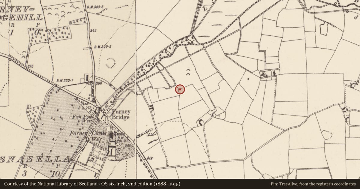 Ordnance Survey six-inch map, 2nd edition (1888–1915) covering the location of Enclosure, Cormackstown, County Tipperary North, with a pin at the register's coordinates