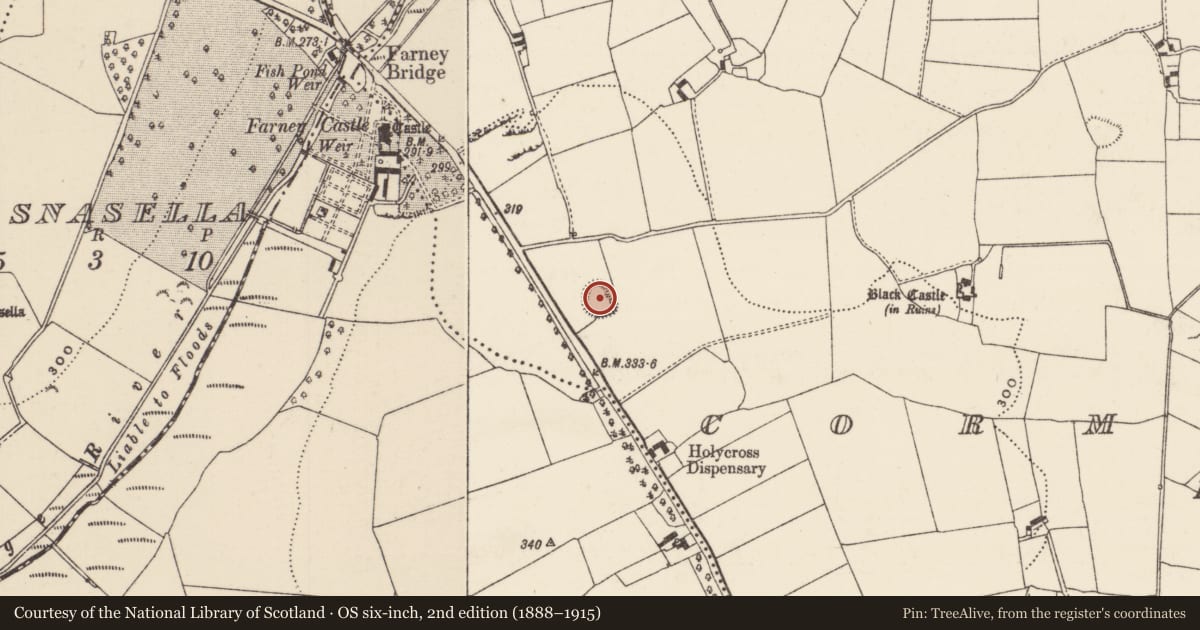 Ordnance Survey six-inch map, 2nd edition (1888–1915) covering the location of Ringfort - rath, Cormackstown, County Tipperary North, with a pin at the register's coordinates