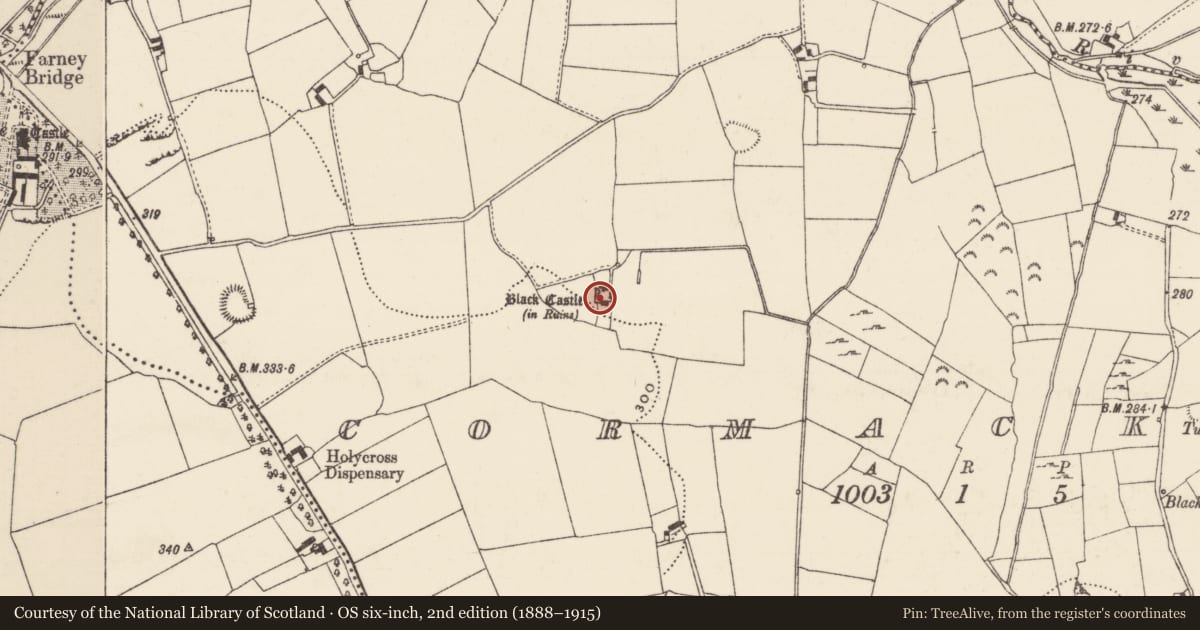 Ordnance Survey six-inch map, 2nd edition (1888–1915) covering the location of Castle - unclassified, Cormackstown, County Tipperary North, with a pin at the register's coordinates