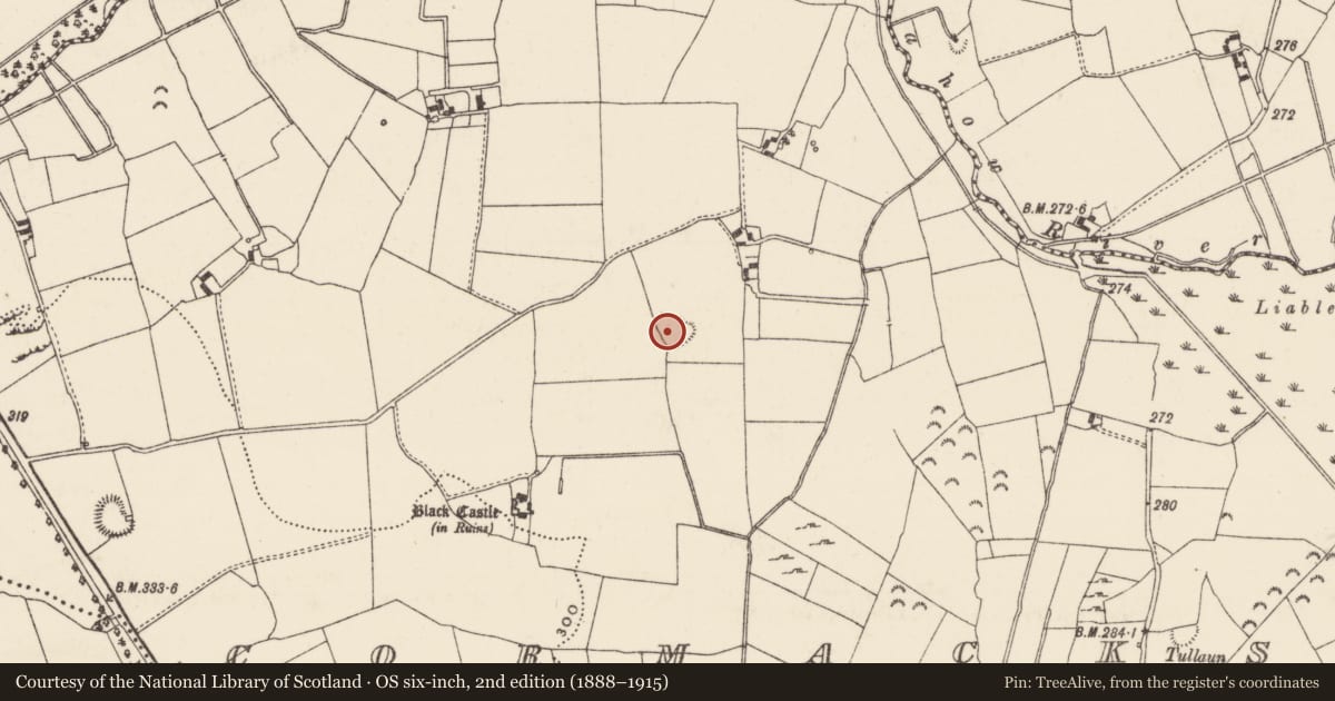 Ordnance Survey six-inch map, 2nd edition (1888–1915) covering the location of Enclosure, Cormackstown, County Tipperary North, with a pin at the register's coordinates