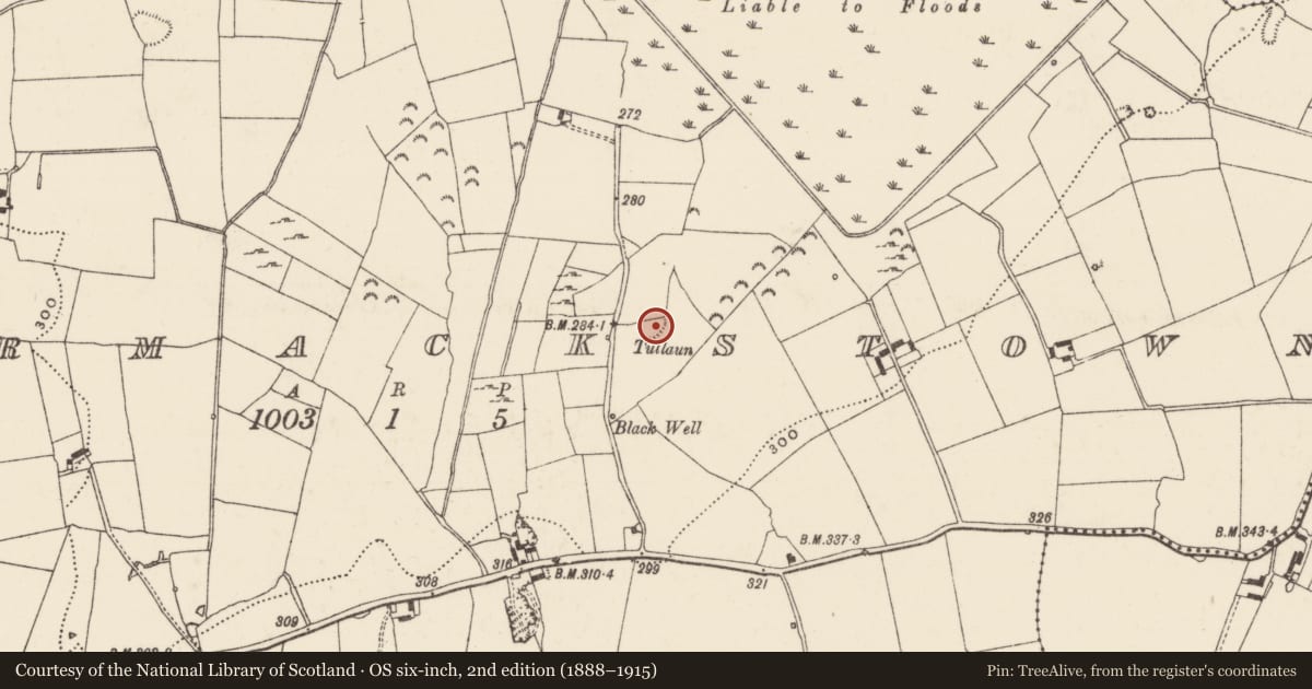 Ordnance Survey six-inch map, 2nd edition (1888–1915) covering the location of Enclosure, Cormackstown, County Tipperary North, with a pin at the register's coordinates