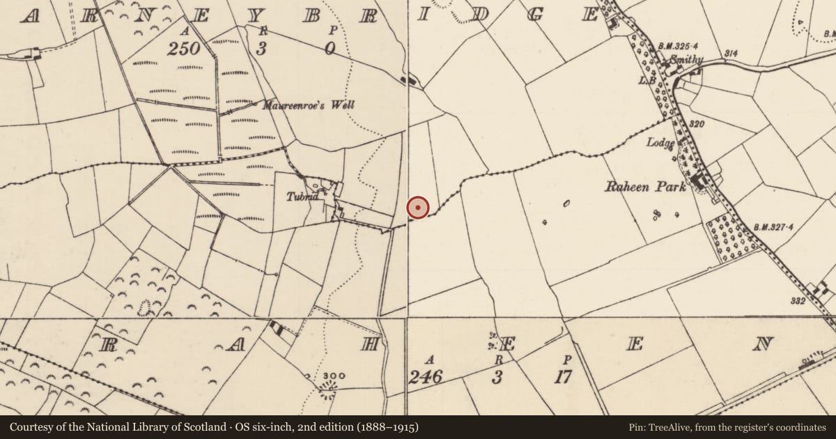 Ordnance Survey six-inch map, 2nd edition (1888–1915) covering the location of Enclosure, Farneybridge, County Tipperary North, with a pin at the register's coordinates
