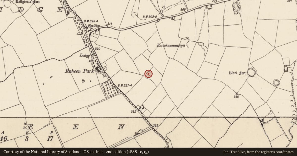 Ordnance Survey six-inch map, 2nd edition (1888–1915) covering the location of Ringfort - rath, Cormackstown, County Tipperary North, with a pin at the register's coordinates