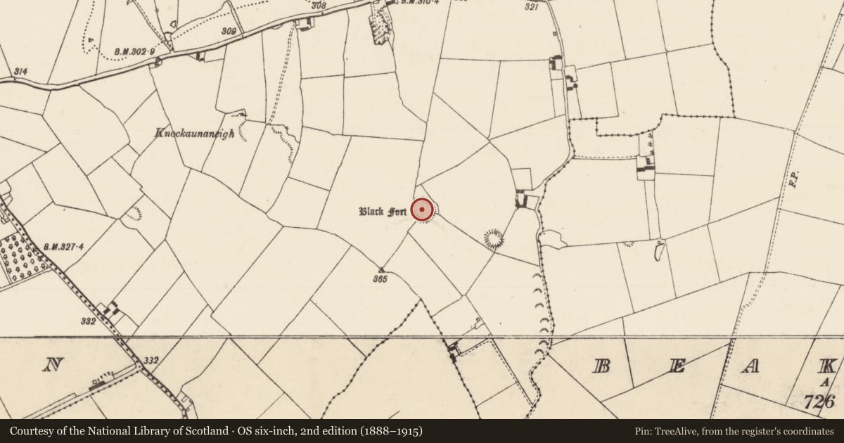 Ordnance Survey six-inch map, 2nd edition (1888–1915) covering the location of Ringfort - rath, Cormackstown, County Tipperary North, with a pin at the register's coordinates