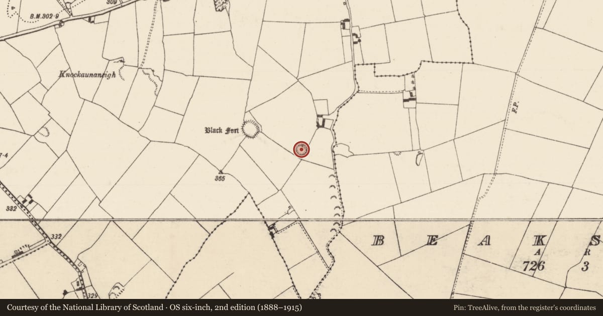 Ordnance Survey six-inch map, 2nd edition (1888–1915) covering the location of Ringfort - rath, Cormackstown, County Tipperary North, with a pin at the register's coordinates