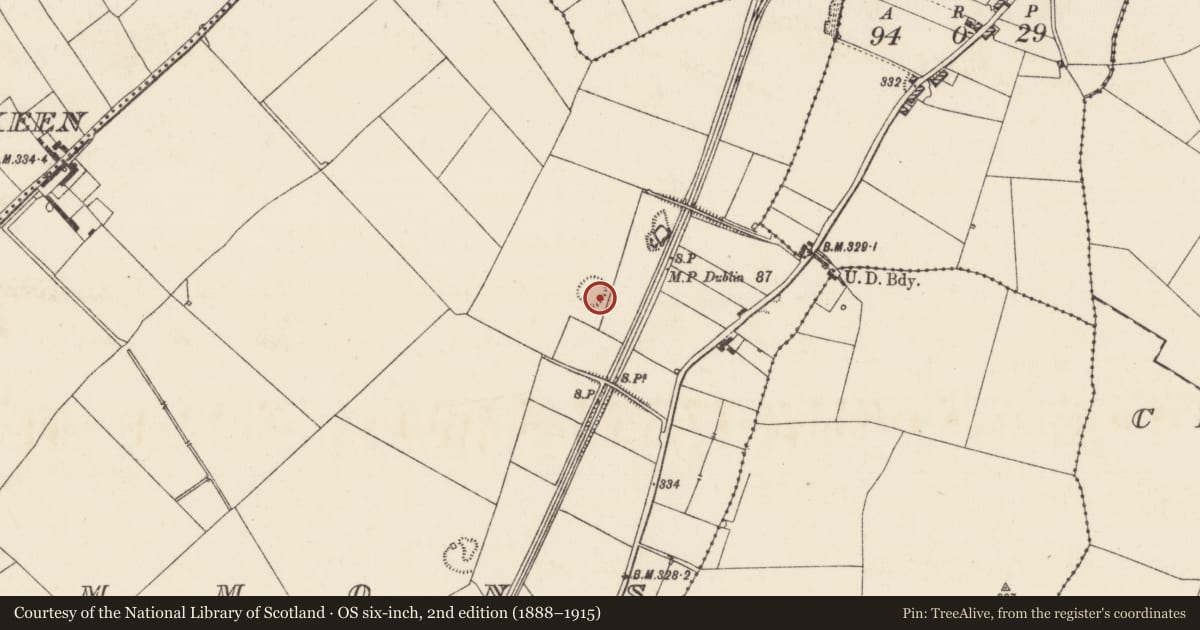 Ordnance Survey six-inch map, 2nd edition (1888–1915) covering the location of Enclosure, Commons (Thurles Par.), County Tipperary North, with a pin at the register's coordinates
