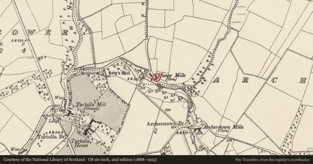 Ordnance Survey six-inch map, 2nd edition (1888–1915) covering the location of Mill - unclassified, Mullauns, County Tipperary North, with a pin at the register's coordinates