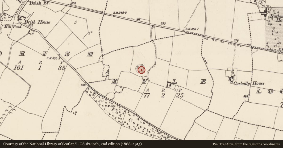 Ordnance Survey six-inch map, 2nd edition (1888–1915) covering the location of Ringfort - rath, Kyle (Rahelty Par.), County Tipperary North, with a pin at the register's coordinates
