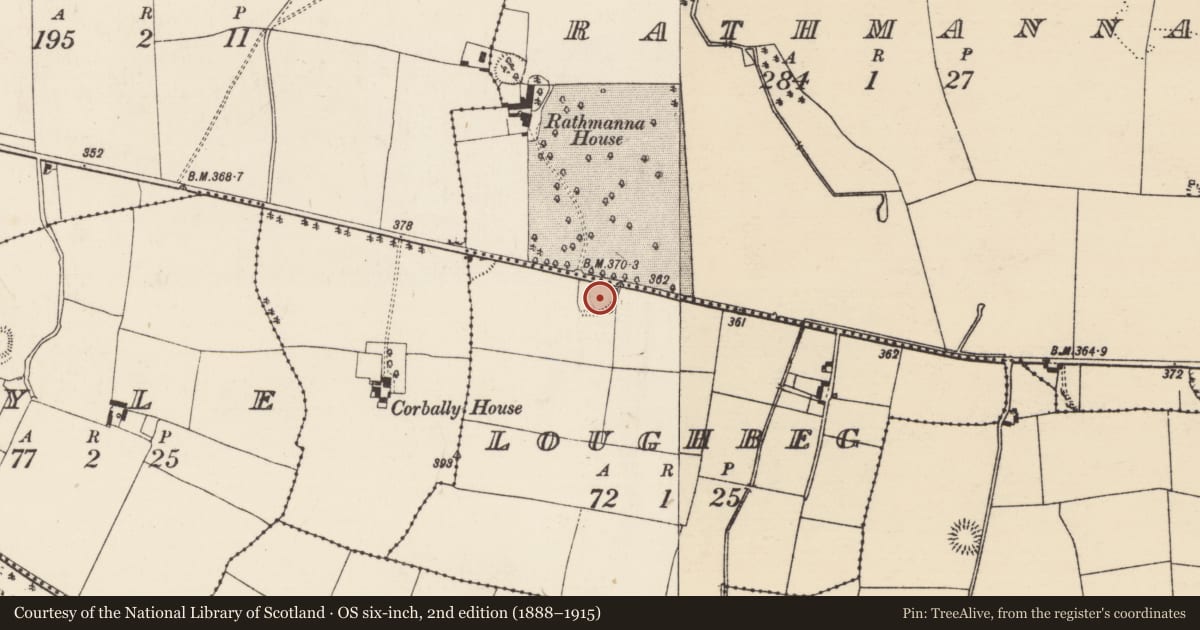 Ordnance Survey six-inch map, 2nd edition (1888–1915) covering the location of Ringfort - rath, Loughbeg, Rathmanna (Rahelty Par.), County Tipperary North, with a pin at the register's coordinates