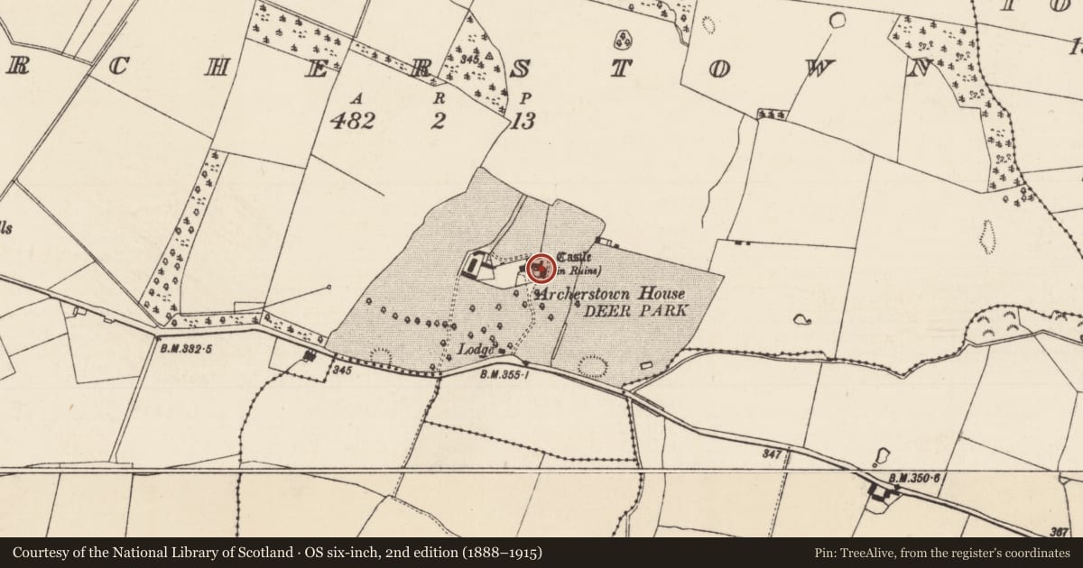 Ordnance Survey six-inch map, 2nd edition (1888–1915) covering the location of Castle - tower house, Archerstown, County Tipperary North, with a pin at the register's coordinates