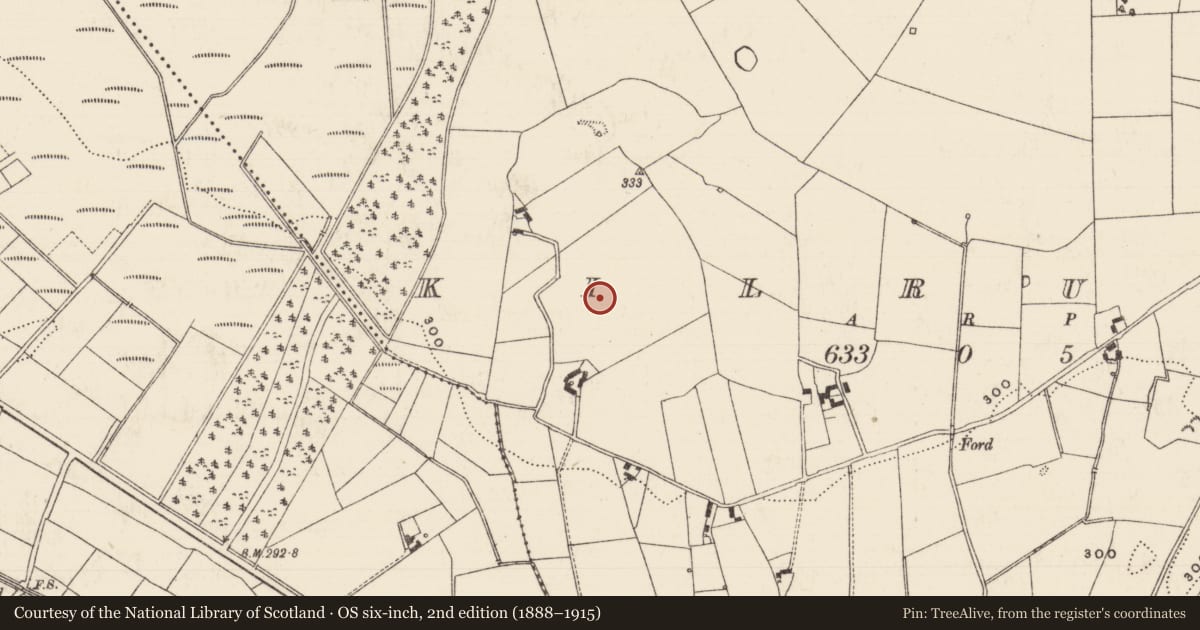 Ordnance Survey six-inch map, 2nd edition (1888–1915) covering the location of Graveyard, Kilrush, County Tipperary North, with a pin at the register's coordinates