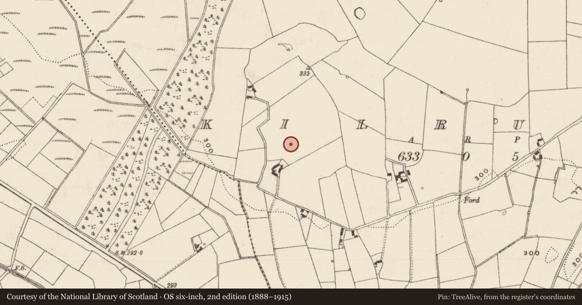 Ordnance Survey six-inch map, 2nd edition (1888–1915) covering the location of Church, Kilrush, County Tipperary North, with a pin at the register's coordinates