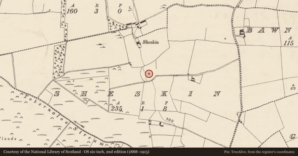 Ordnance Survey six-inch map, 2nd edition (1888–1915) covering the location of Enclosure, Sheskin, County Tipperary North, with a pin at the register's coordinates