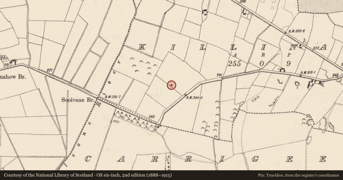Ordnance Survey six-inch map, 2nd edition (1888–1915) covering the location of Enclosure, Killinane, County Tipperary North, with a pin at the register's coordinates