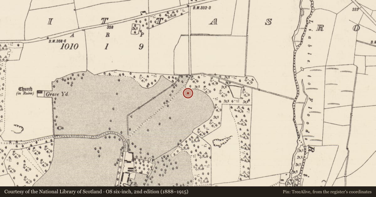 Ordnance Survey six-inch map, 2nd edition (1888–1915) covering the location of Enclosure, Brittas (Thurles Par.), County Tipperary North, with a pin at the register's coordinates