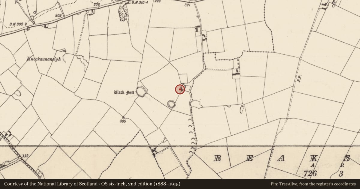 Ordnance Survey six-inch map, 2nd edition (1888–1915) covering the location of House - indeterminate date, Cormackstown, County Tipperary North, with a pin at the register's coordinates