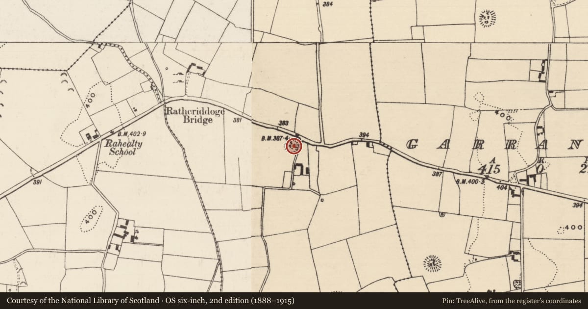 Ordnance Survey six-inch map, 2nd edition (1888–1915) covering the location of Ringfort - rath, Rahelty, County Tipperary North, with a pin at the register's coordinates