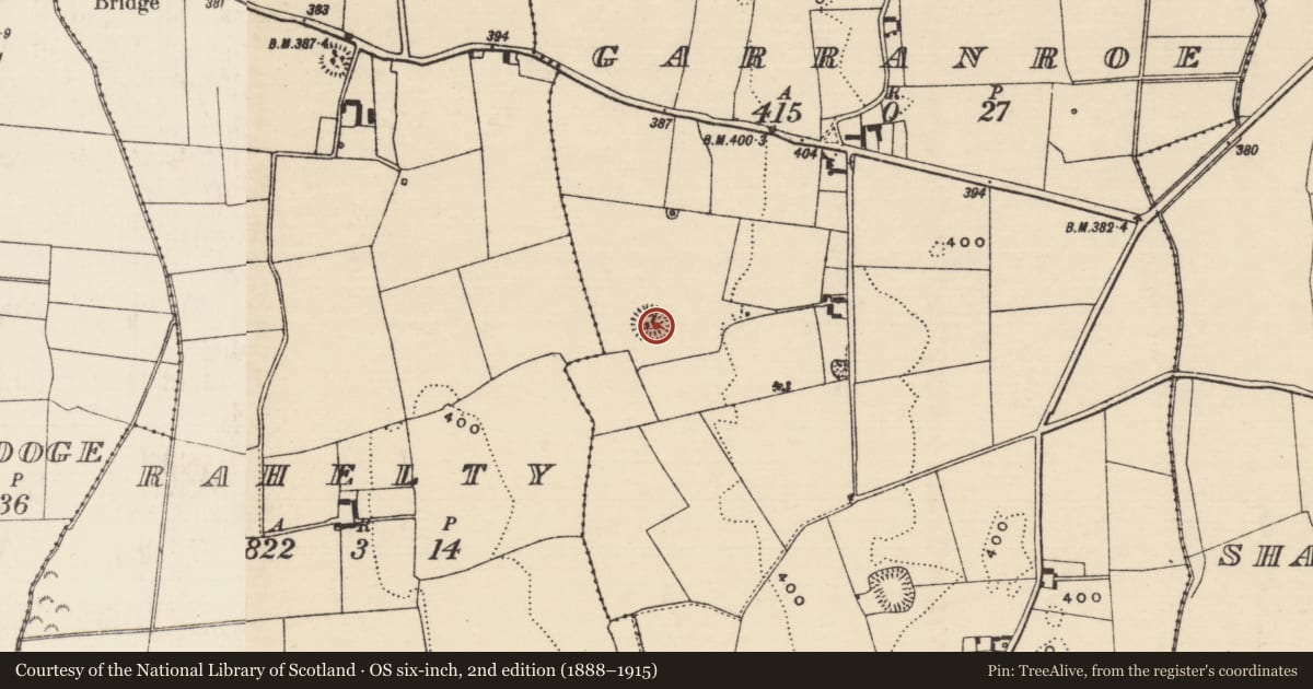 Ordnance Survey six-inch map, 2nd edition (1888–1915) covering the location of Ringfort - rath, Garranroe, County Tipperary North, with a pin at the register's coordinates