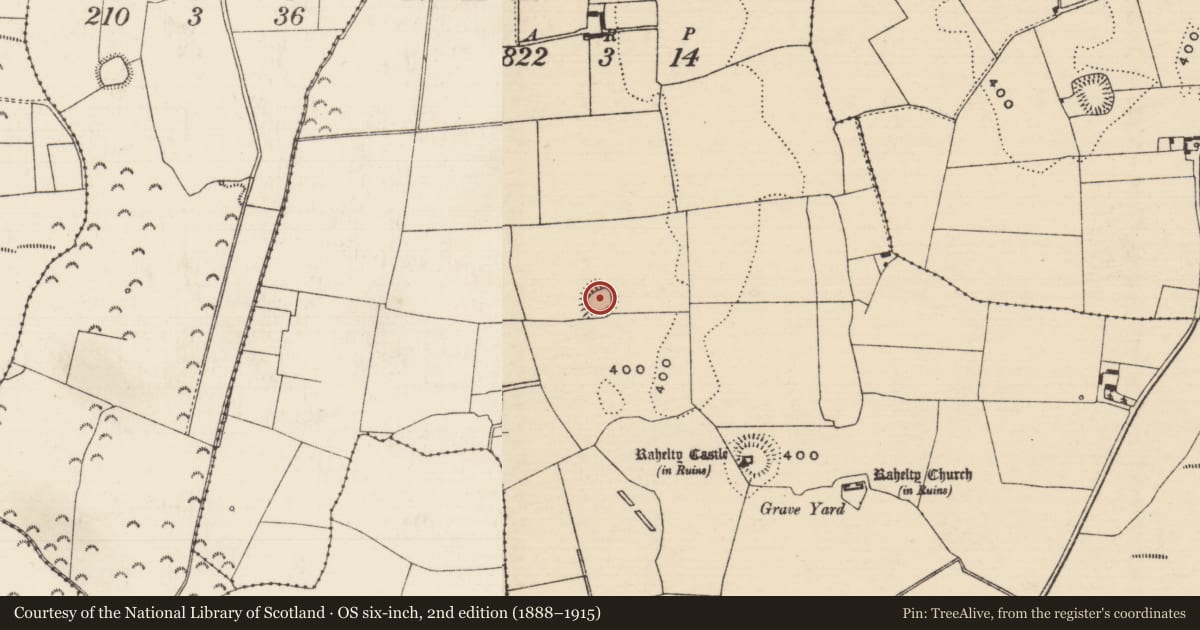 Ordnance Survey six-inch map, 2nd edition (1888–1915) covering the location of Ringfort - rath, Rahelty, County Tipperary North, with a pin at the register's coordinates