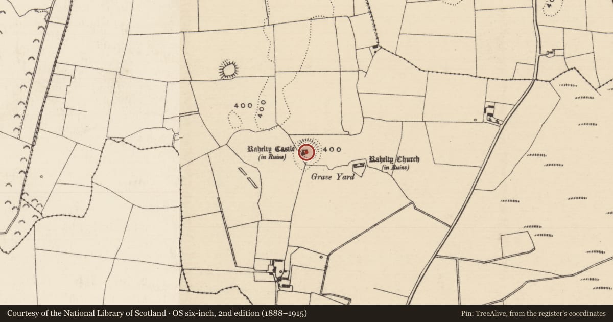 Ordnance Survey six-inch map, 2nd edition (1888–1915) covering the location of Bawn, Rahelty, County Tipperary North, with a pin at the register's coordinates