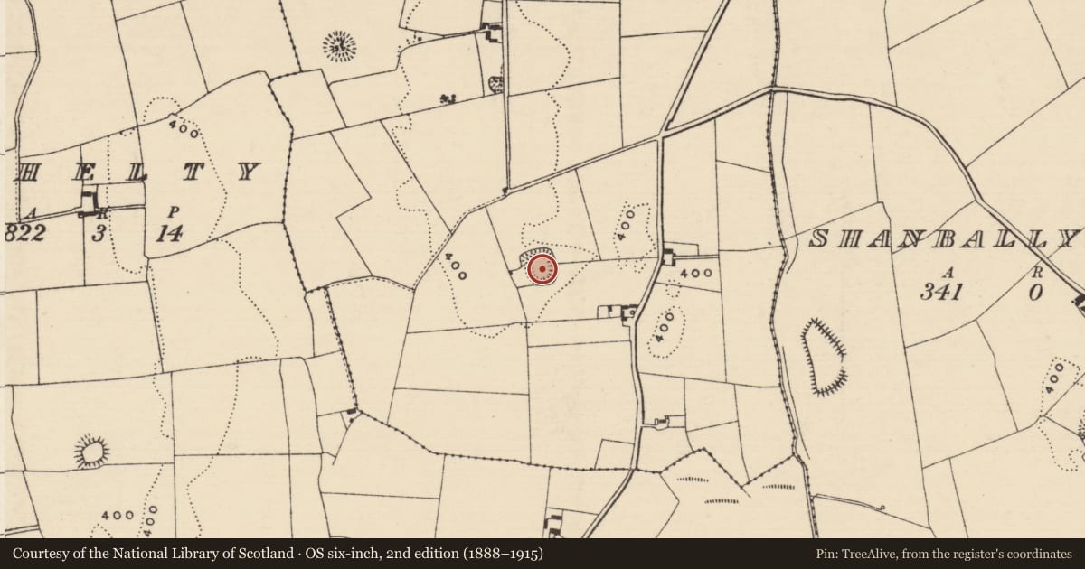 Ordnance Survey six-inch map, 2nd edition (1888–1915) covering the location of Ringfort - rath, Garranroe, County Tipperary North, with a pin at the register's coordinates