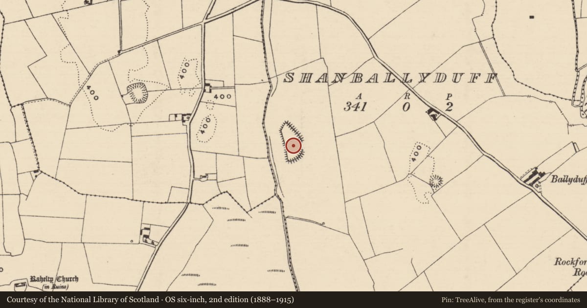 Ordnance Survey six-inch map, 2nd edition (1888–1915) covering the location of Enclosure, Shanballyduff (Rahelty Par.), County Tipperary North, with a pin at the register's coordinates