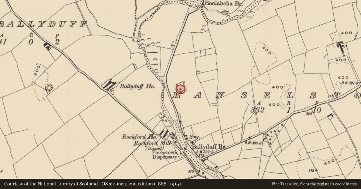 Ordnance Survey six-inch map, 2nd edition (1888–1915) covering the location of Moated site, Manselstown, County Tipperary North, with a pin at the register's coordinates