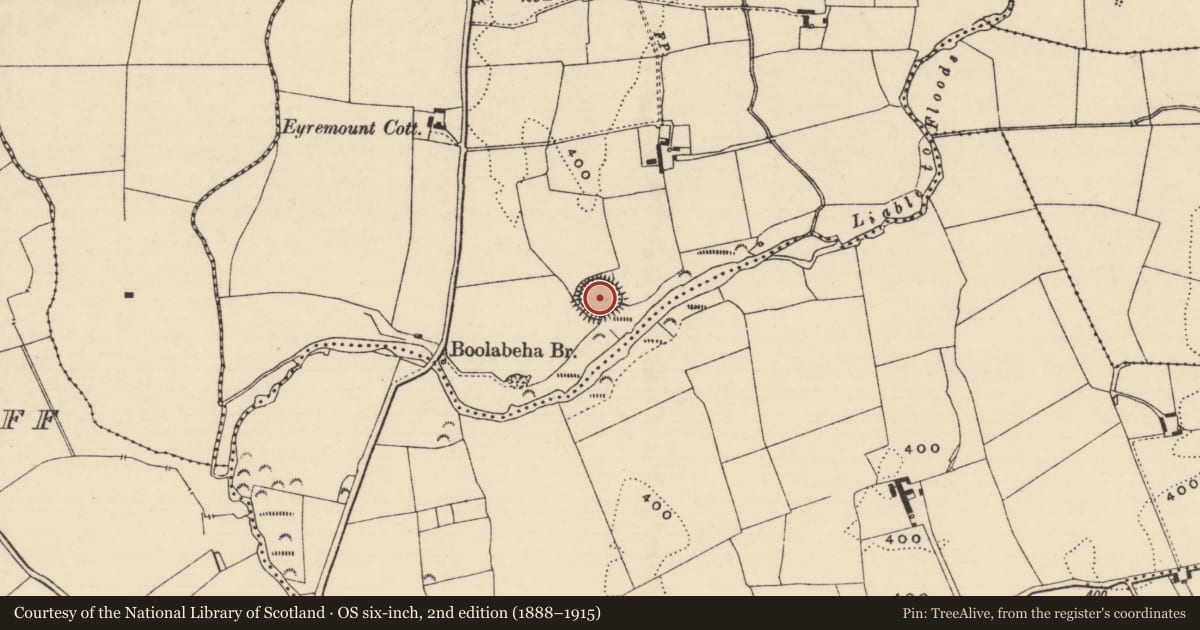 Ordnance Survey six-inch map, 2nd edition (1888–1915) covering the location of Ringfort - rath, Boolabeha, County Tipperary North, with a pin at the register's coordinates