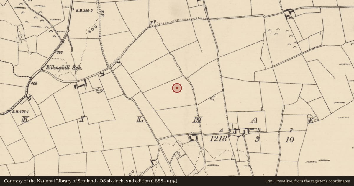 Ordnance Survey six-inch map, 2nd edition (1888–1915) covering the location of Enclosure, Kilmakill, County Tipperary North, with a pin at the register's coordinates
