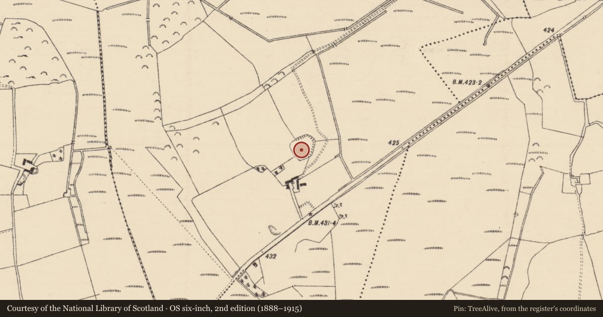 Ordnance Survey six-inch map, 2nd edition (1888–1915) covering the location of Enclosure, Longfordpass North, County Tipperary North, with a pin at the register's coordinates