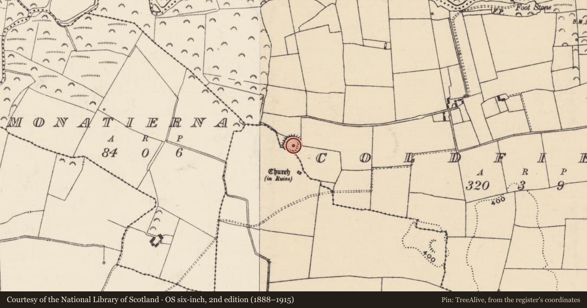 Ordnance Survey six-inch map, 2nd edition (1888–1915) covering the location of Ringfort - rath, Coldfields, Rathmanna (Twomileborris Par.), County Tipperary North, with a pin at the register's coordinates