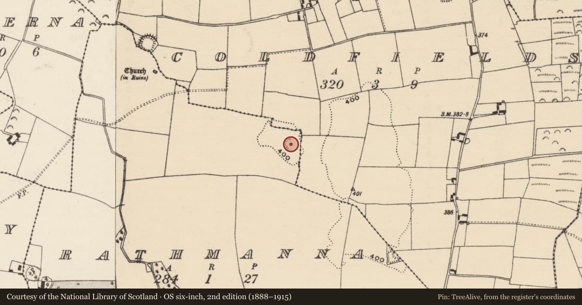 Ordnance Survey six-inch map, 2nd edition (1888–1915) covering the location of Designed landscape feature, Rathmanna (Twomileborris Par.), County Tipperary North, with a pin at the register's coordinates