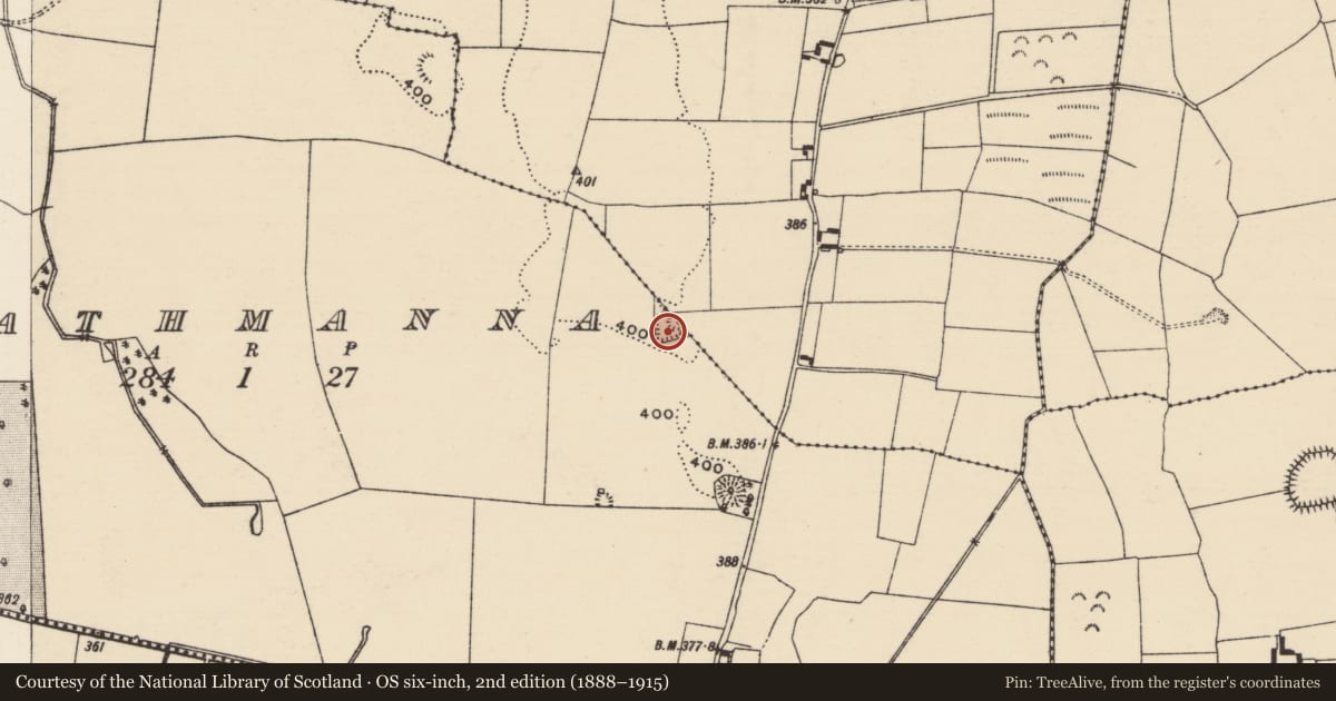 Ordnance Survey six-inch map, 2nd edition (1888–1915) covering the location of Enclosure, Coldfields, Rathmanna (Twomileborris Par.), County Tipperary North, with a pin at the register's coordinates