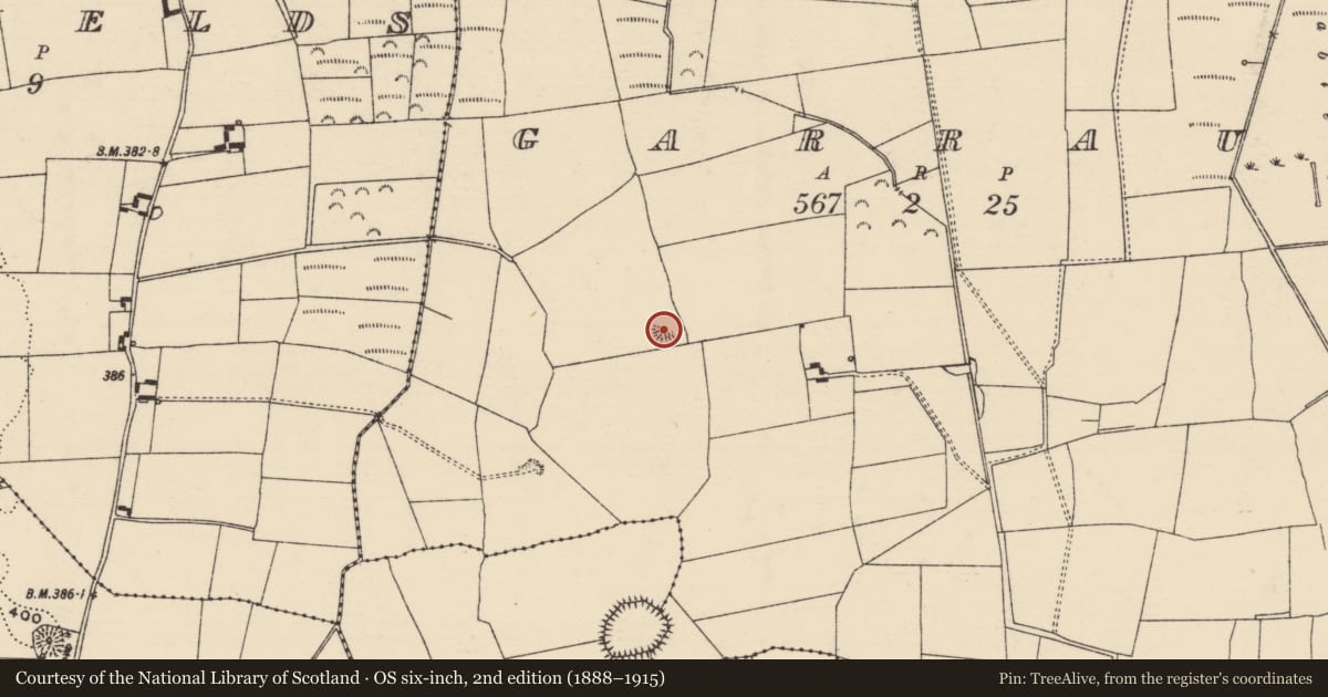 Ordnance Survey six-inch map, 2nd edition (1888–1915) covering the location of Moated site, Garraun (Twomileborris Par.), County Tipperary North, with a pin at the register's coordinates