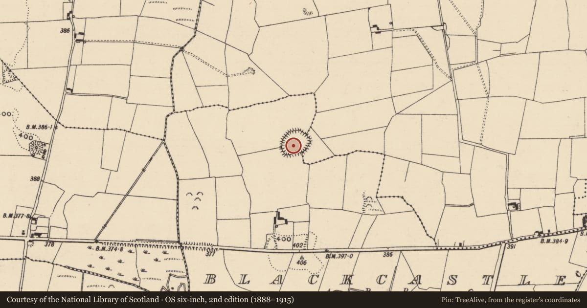 Ordnance Survey six-inch map, 2nd edition (1888–1915) covering the location of Ringfort - rath, Blackcastle (Twomileborris Par.), Garraun (Twomileborris Par.), County Tipperary North, with a pin at the register's coordinates