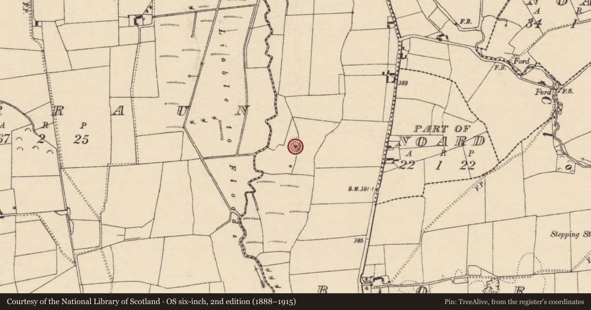 Ordnance Survey six-inch map, 2nd edition (1888–1915) covering the location of Ringfort - rath, Borris (Twomileborris Par.), County Tipperary North, with a pin at the register's coordinates