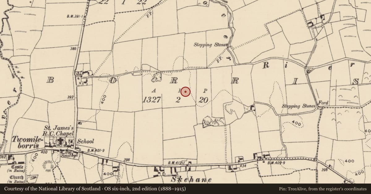 Ordnance Survey six-inch map, 2nd edition (1888–1915) covering the location of Enclosure, Borris (Twomileborris Par.), County Tipperary North, with a pin at the register's coordinates
