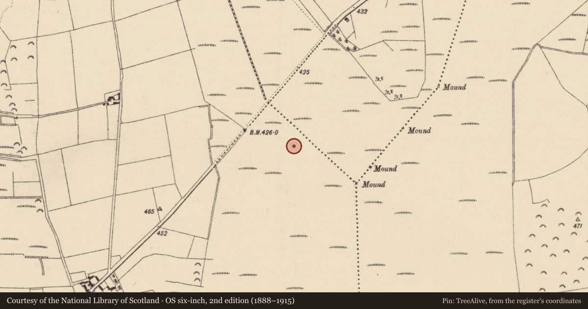 Ordnance Survey six-inch map, 2nd edition (1888–1915) covering the location of Road - class 1 togher, Leigh, Longfordpass East, County Tipperary North, with a pin at the register's coordinates