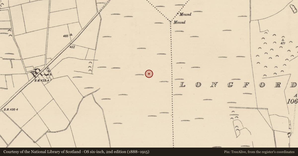 Ordnance Survey six-inch map, 2nd edition (1888–1915) covering the location of Road - class 2 togher, Leigh, County Tipperary North, with a pin at the register's coordinates