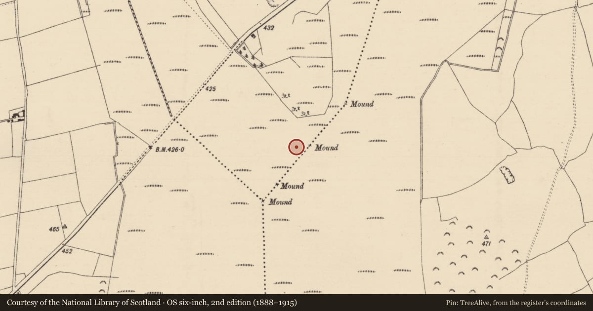 Ordnance Survey six-inch map, 2nd edition (1888–1915) covering the location of Road - road/trackway, Longfordpass North, County Tipperary North, with a pin at the register's coordinates