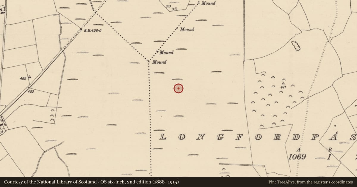 Ordnance Survey six-inch map, 2nd edition (1888–1915) covering the location of Road - class 1 togher, Longfordpass South, County Tipperary North, with a pin at the register's coordinates