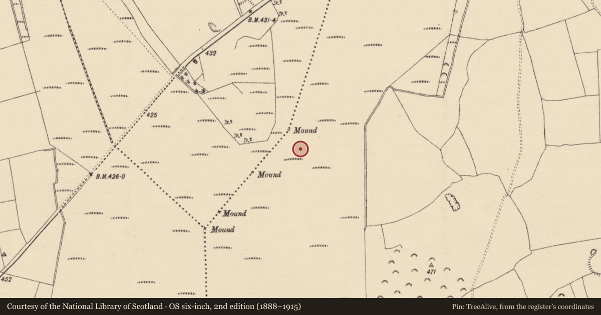 Ordnance Survey six-inch map, 2nd edition (1888–1915) covering the location of Road - class 1 togher, Longfordpass South, County Tipperary North, with a pin at the register's coordinates
