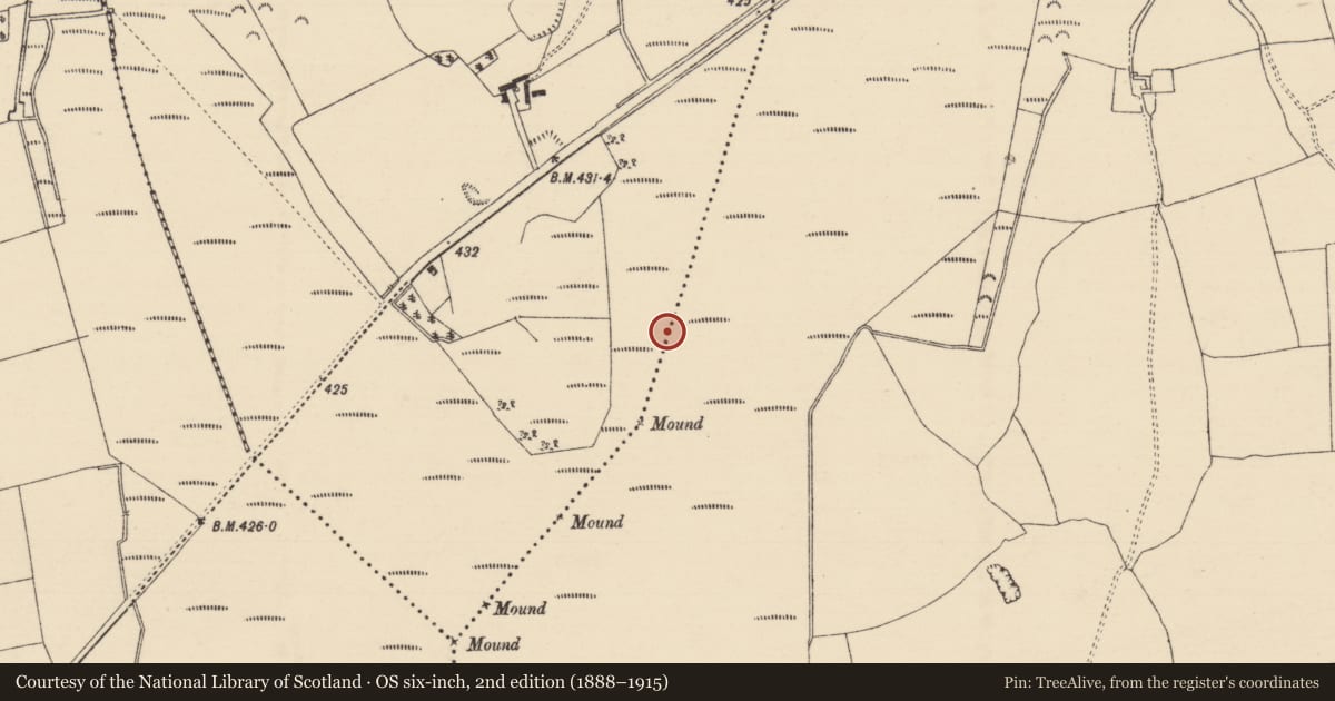 Ordnance Survey six-inch map, 2nd edition (1888–1915) covering the location of Platform - peatland, Longfordpass South, County Tipperary North, with a pin at the register's coordinates