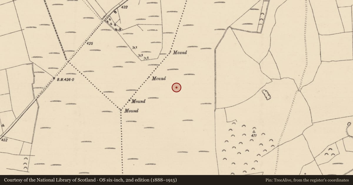Ordnance Survey six-inch map, 2nd edition (1888–1915) covering the location of Road - class 2 togher, Longfordpass South, County Tipperary North, with a pin at the register's coordinates