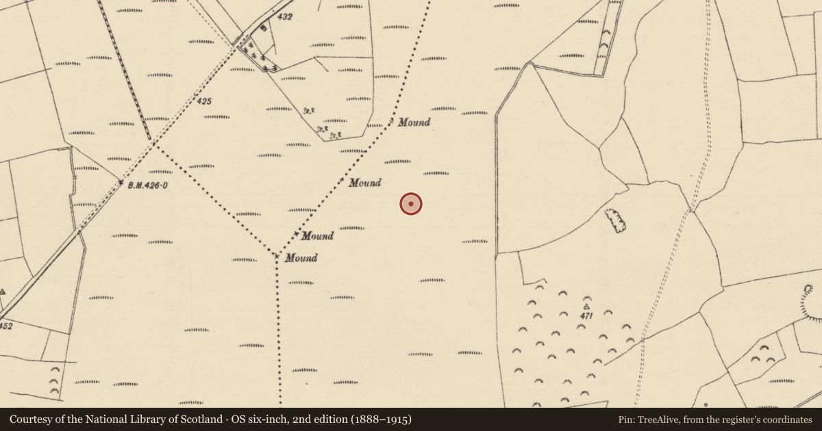 Ordnance Survey six-inch map, 2nd edition (1888–1915) covering the location of Road - class 2 togher, Longfordpass South, County Tipperary North, with a pin at the register's coordinates